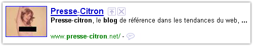 Google : Vignette de blog