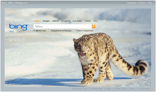 Bing: Page d'accueil