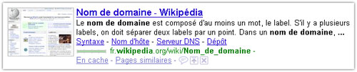 Snippet Google : Wikipedia