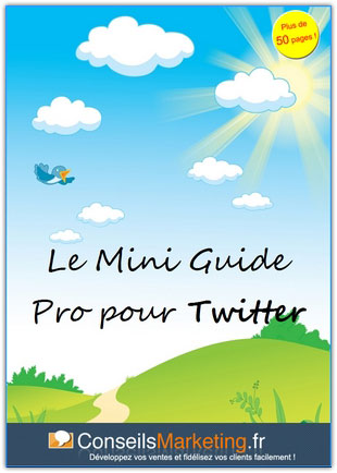 Mini Guide Twitter Pro pour Twitter