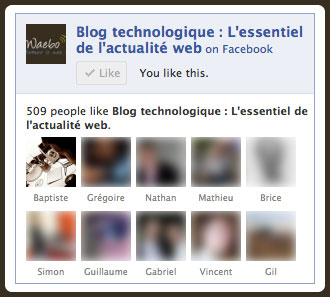 Facebook : Ancienne Like Box