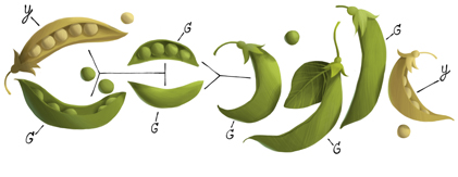 Google : Doodle de Gregor Mendel