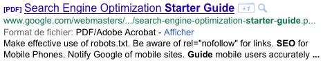 Google : Document PDF dans les SERPS